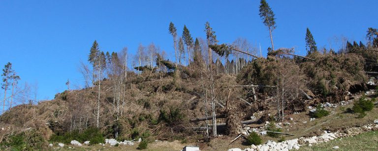Antico Borgo Brunelli Albergo Diffuso