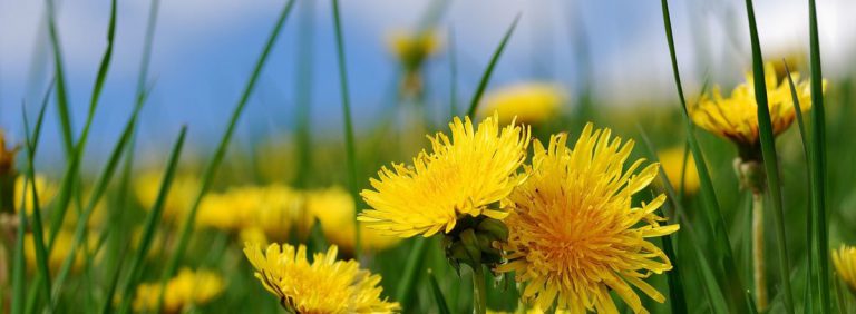 Antico Borgo Brunelli Albergo Diffuso