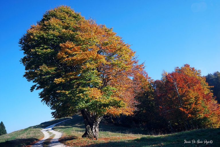 Antico Borgo Brunelli Albergo Diffuso