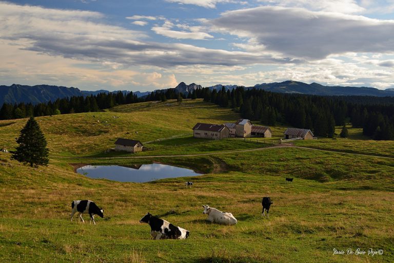 Antico Borgo Brunelli Albergo Diffuso