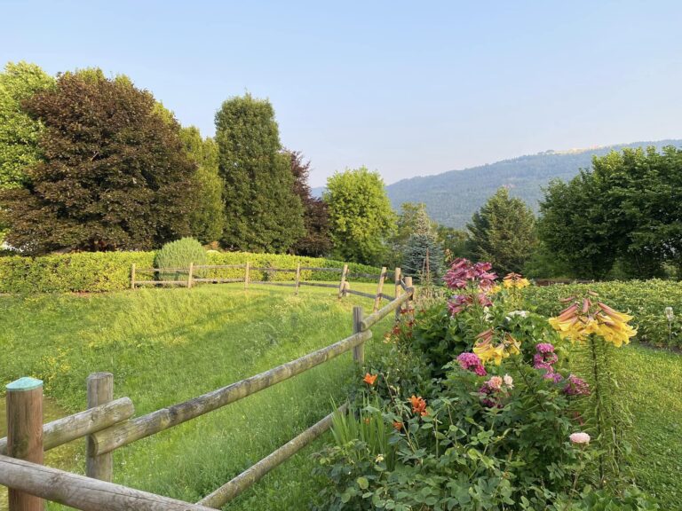 connessione con la natura